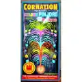 Flower Pots Pinjore