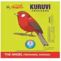 3 1/2' Bird Crackers